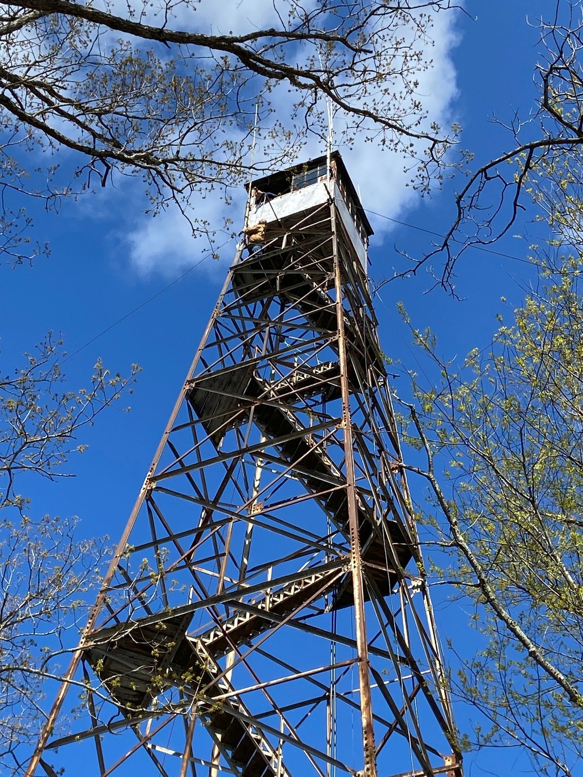 WA3SFJ radio tower site